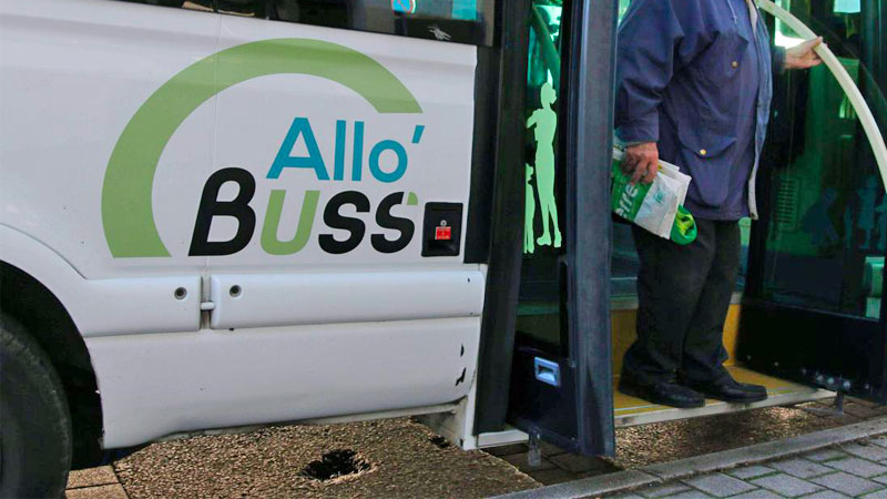 allo-buss